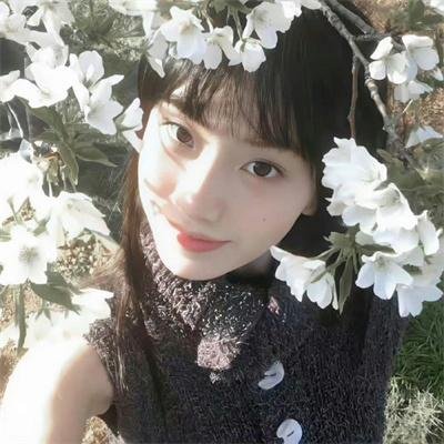 夏绿蒂的网